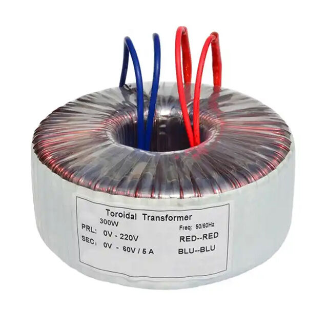 50W 100W 150W 200W 300W 500W Lichuan Custom Toroidal Transformer For Audio Amplifiers