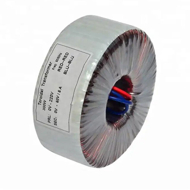 50W 100W 150W 200W 300W 500W Lichuan Custom Toroidal Transformer For Audio Amplifiers