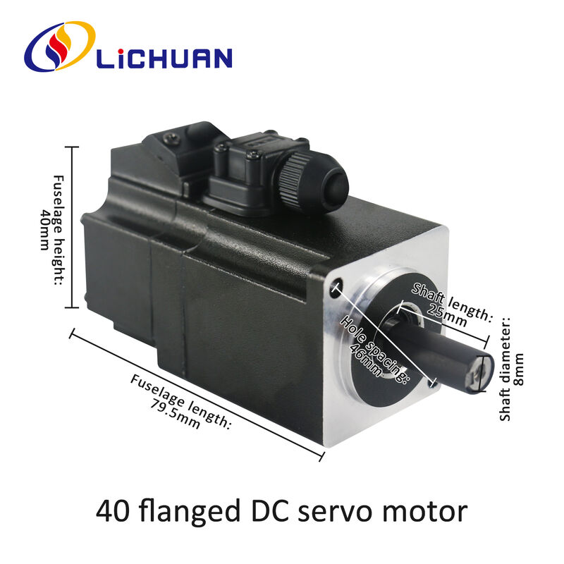 Lichuan DC Servo Motor Drivers Kit DS2-10P/R/C/E Low Voltage 100W 0.32N.m 24/48V 3.7/6.5A 3000RPM IP65